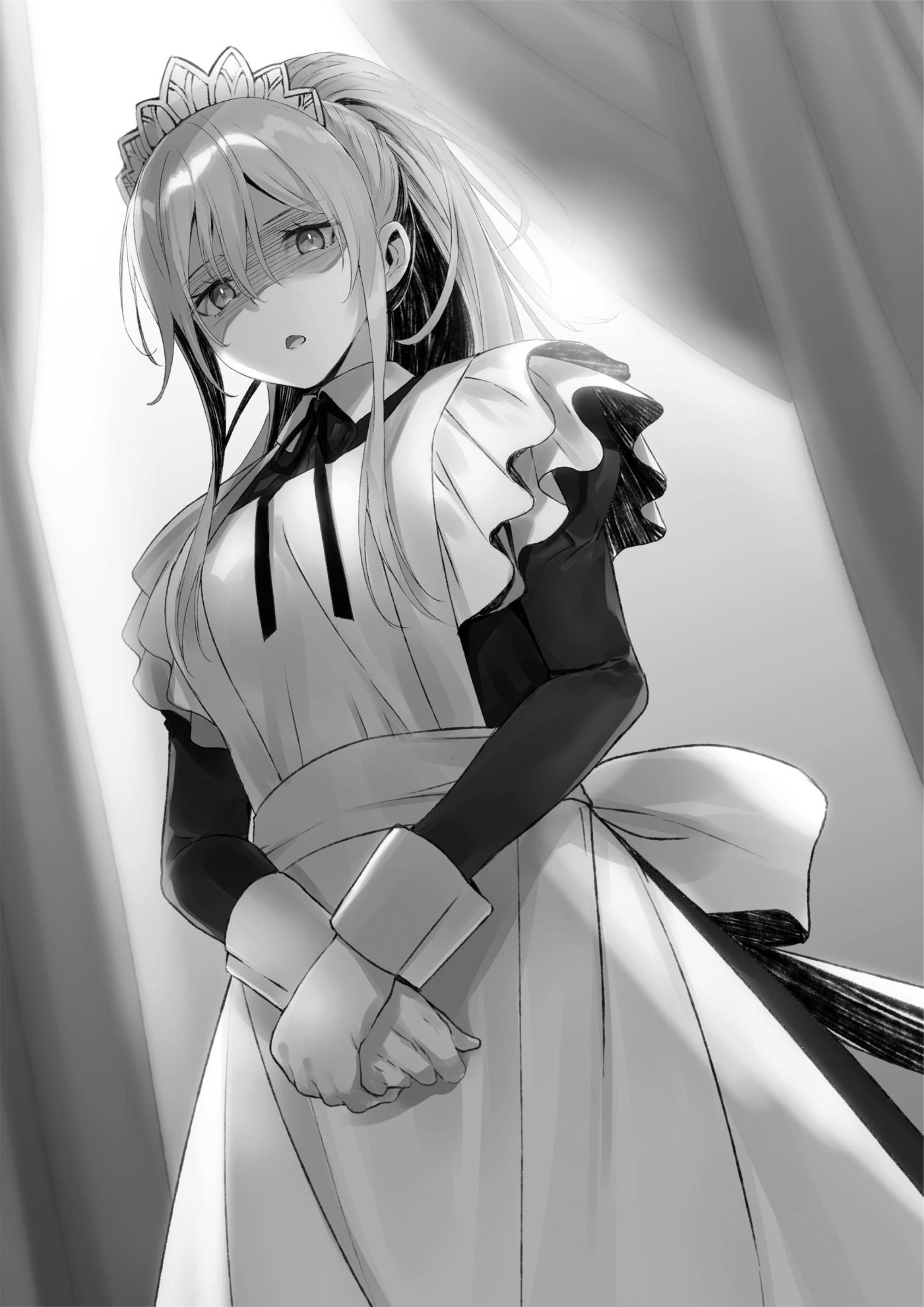 Akutoku Kizoku no Seizon Senryaku Volume 1 - Megumi Novel