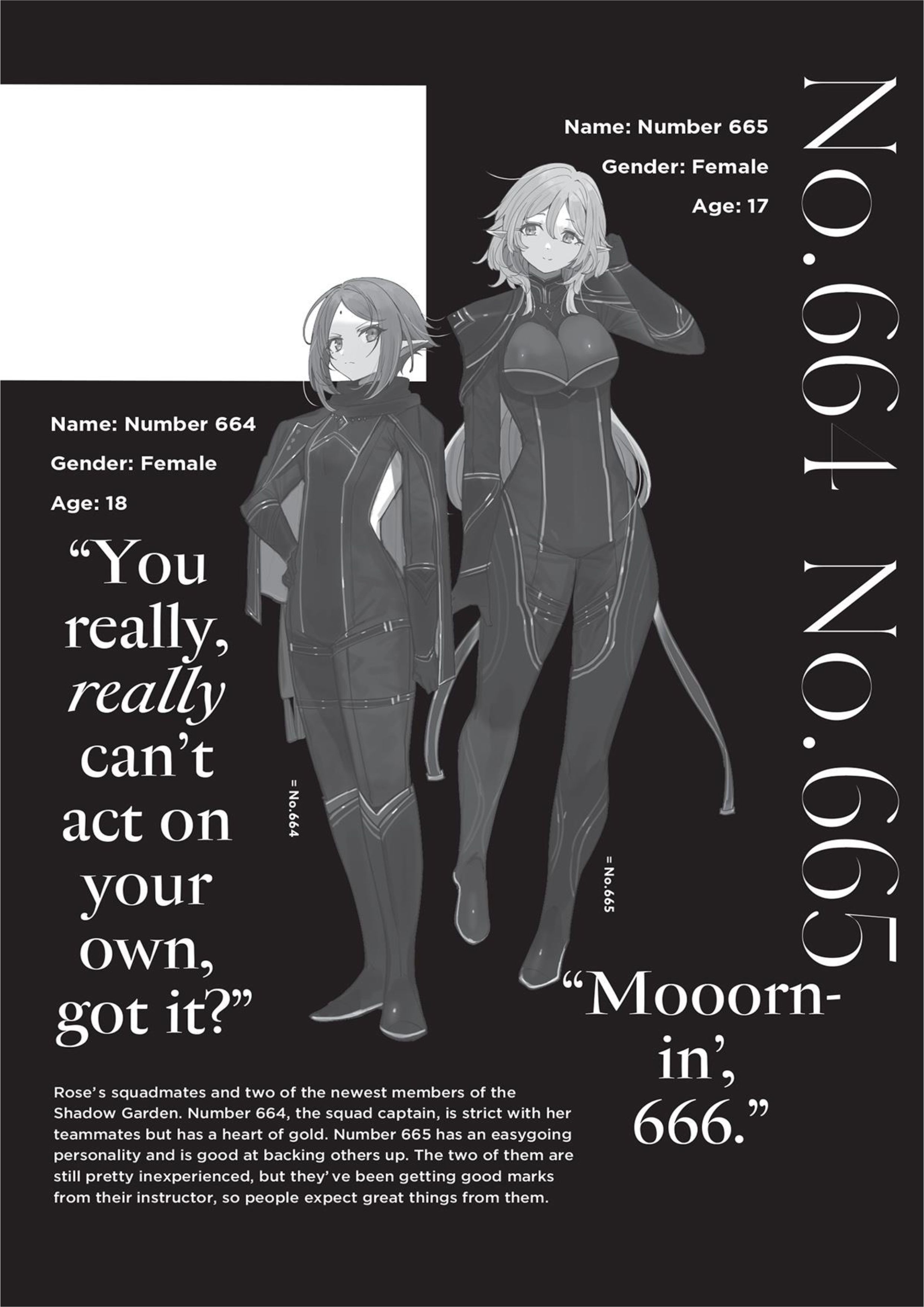 Kage no Jitsuryokusha ni Naritakute! Volume 4 - Megumi Novel